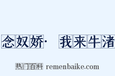 念奴娇·我来牛渚是什么意思的图片